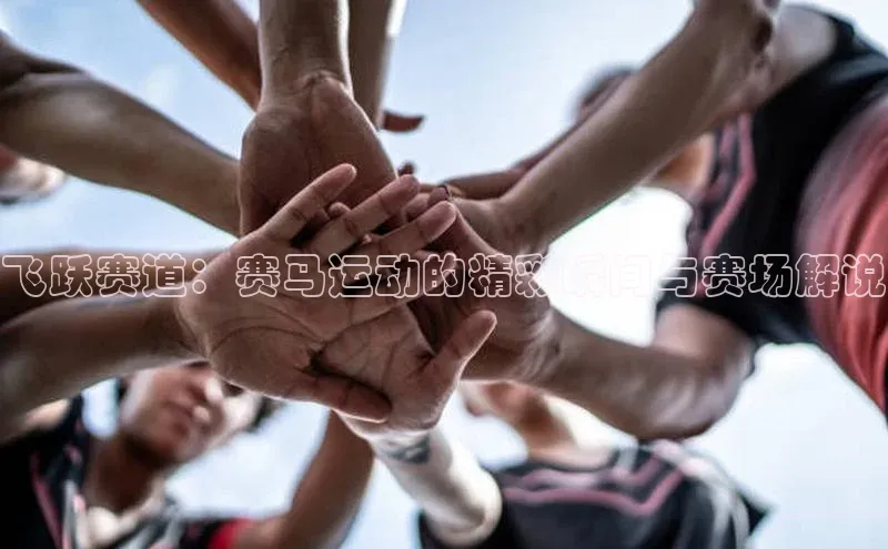 门徒注册登录地址